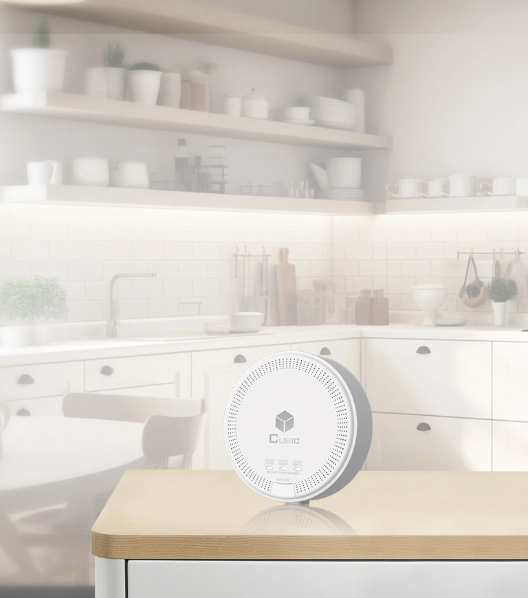 가정을 위한 입방 천연 가스 탐지기